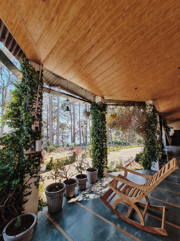 Zahrada ubytování Deodar Homestay