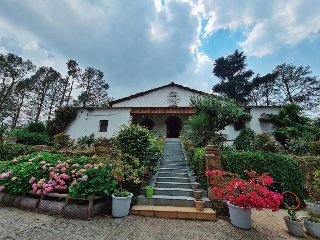 Zahrada ubytování Deodar Homestay