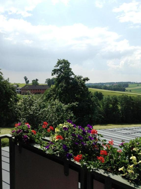 Zahrada ubytování 1A Landhotel Schicklberg