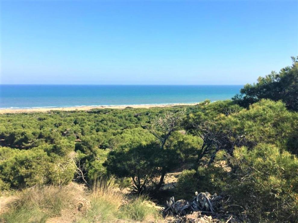 Fotografie z fotogalerie ubytování Casa JIRAFA con la vista v destinaci Gran Alacant