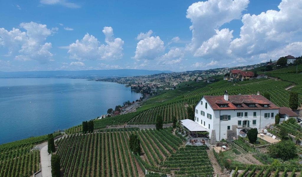 eine Luftansicht eines Hauses auf einem Hügel neben dem Wasser in der Unterkunft Domaine de la Crausaz in Grandvaux