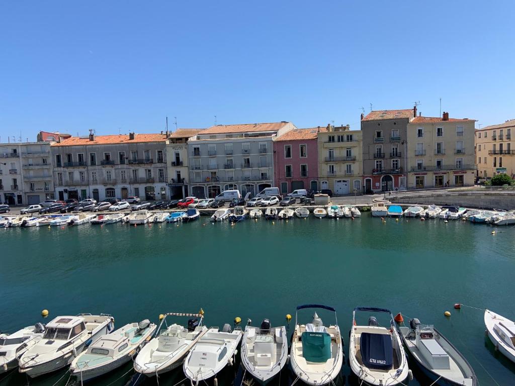 un groupe de bateaux est amarré dans un port dans l'établissement SETE - 6 Quai Louis Pasteur, à Sète