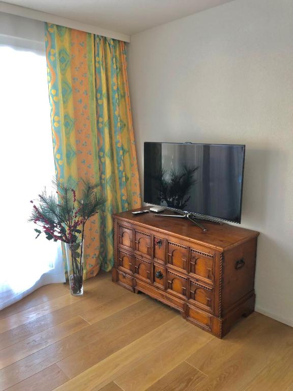 TV a/nebo společenská místnost v ubytování Gemütliches 2 Zimmer Studio mit Gartensitzplatz