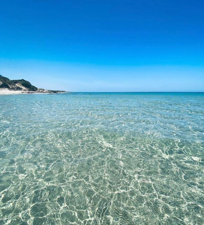 Táj Show holiday homes közelében