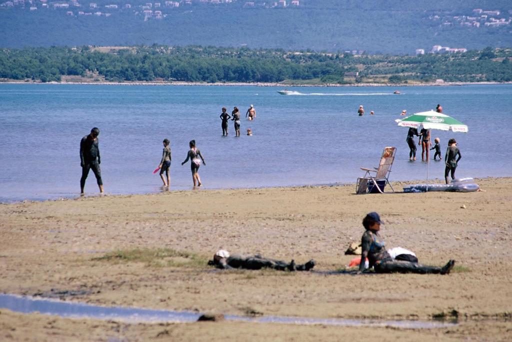 Príroda v okolí apartmánu