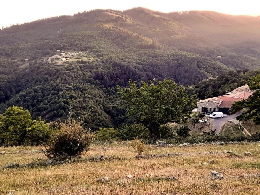 Príroda v okolí dovolenkového domu