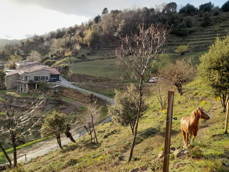 Príroda v okolí dovolenkového domu