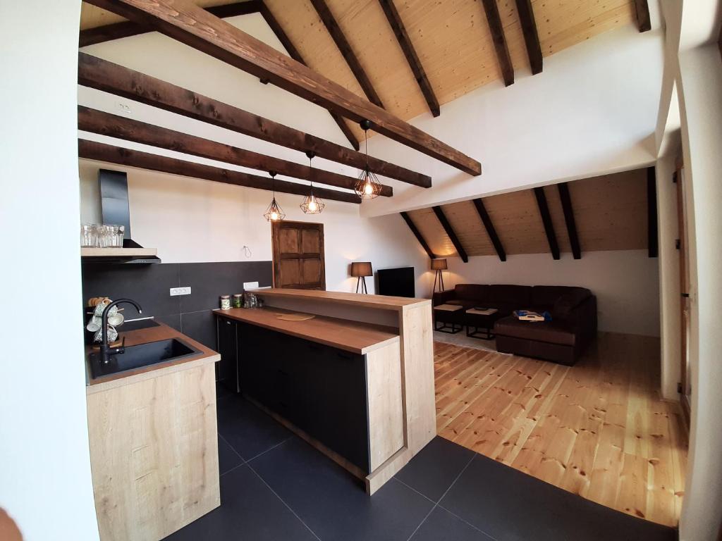 a kitchen and living room with wooden beams at Fern Farm Eco Studio Apartment in Mojkovac