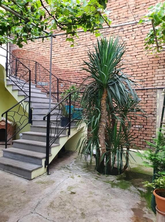Zahrada ubytování Tbilisi View House