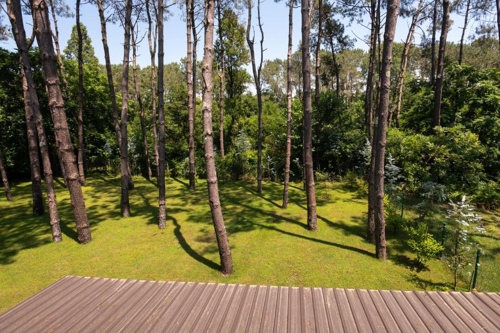 Příroda nedaleko hotelu