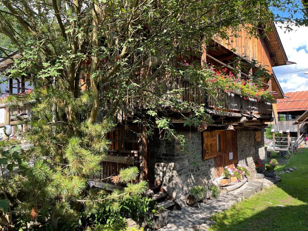 Zahrada ubytování Chalet Sottoguda