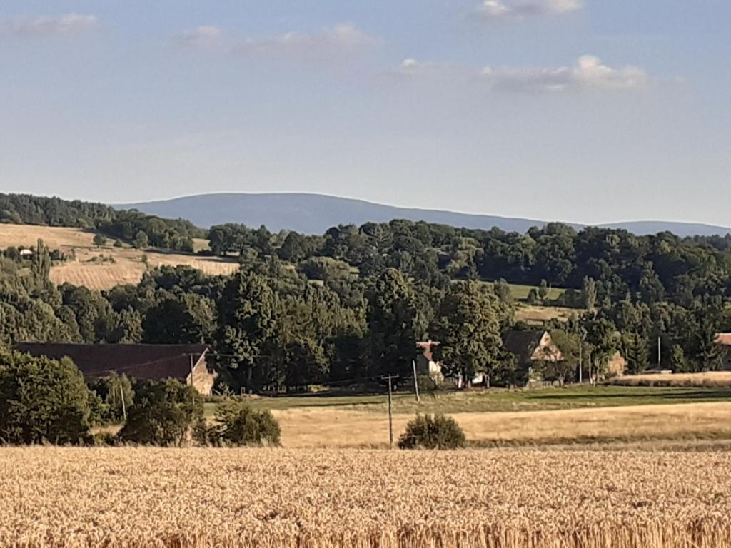 Príroda v okolí dovolenkového domu