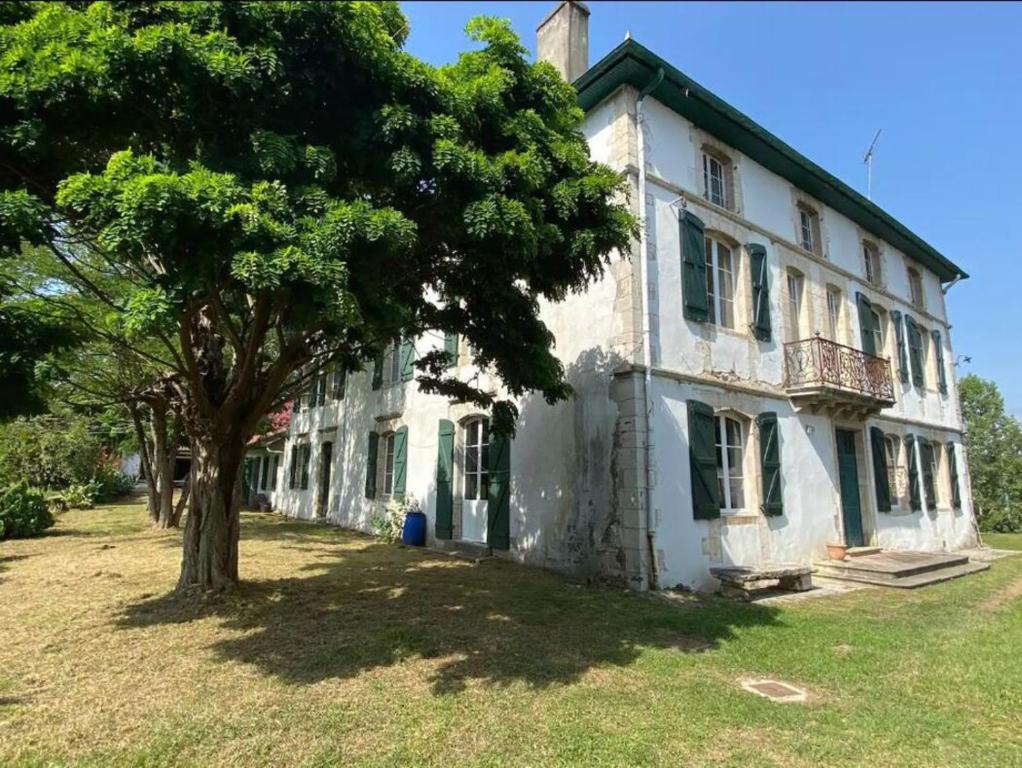 uma casa velha com uma árvore em frente em Maison Etxeparea em Ustaritz