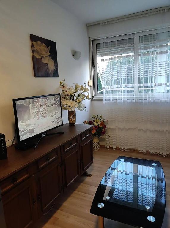 TV a/nebo společenská místnost v ubytování Luka