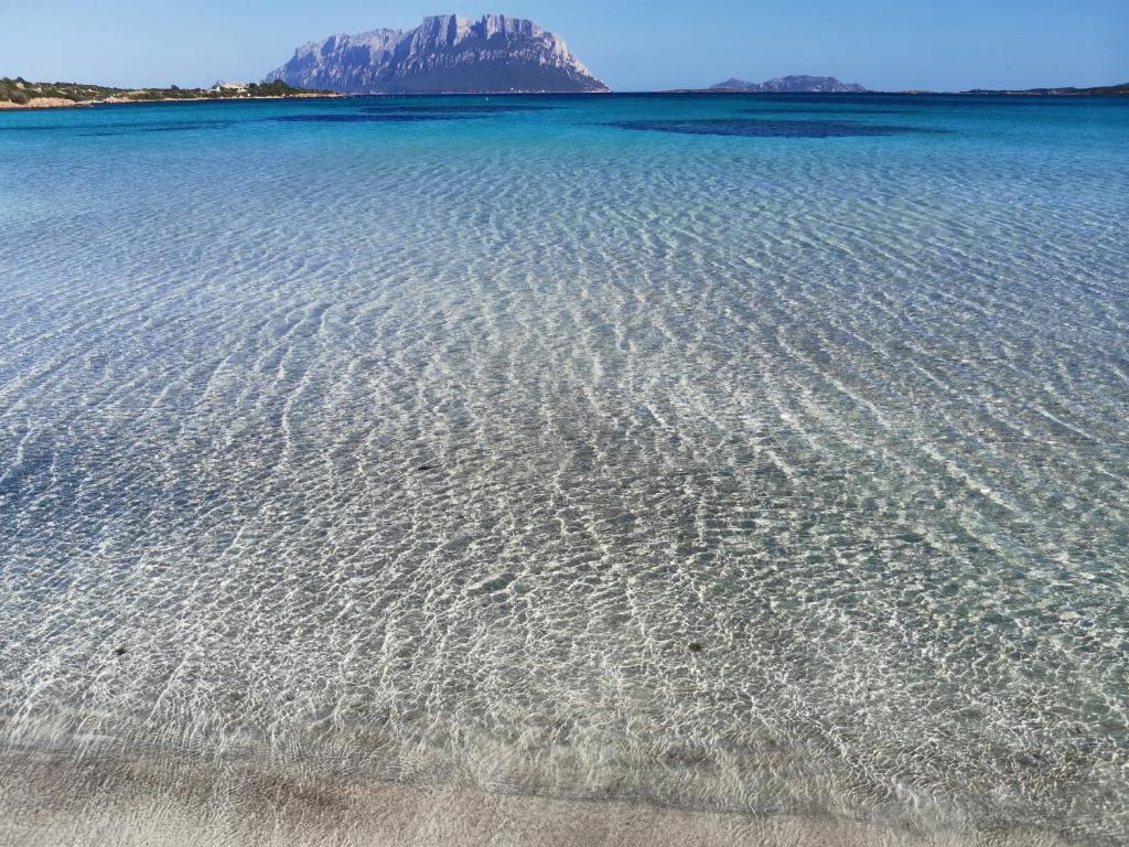 Φυσικό τοπίο κοντά σε αυτός ο ξενώνας