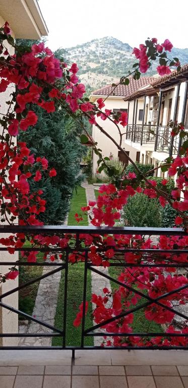Výhľad na hory alebo výhľad na hory priamo z apartmánového hotela