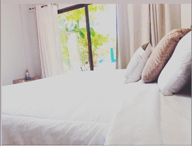 Sambo Mambo Beach Hotel - 国王工作室