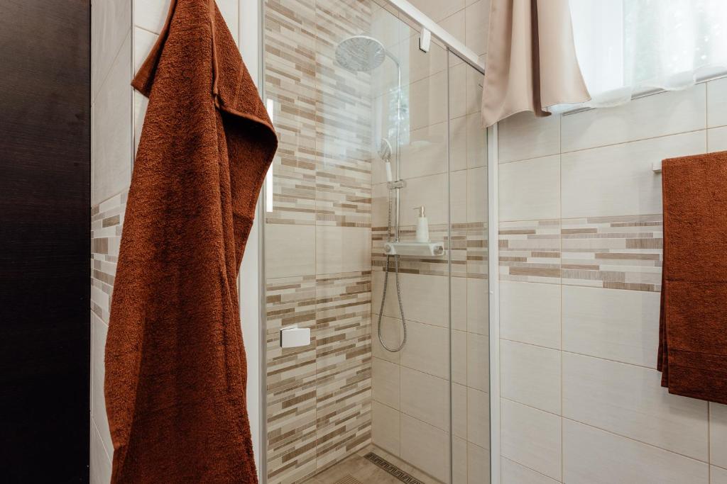 Apartmán vo vile Kammergraf - Appartement Met één Slaapkamer