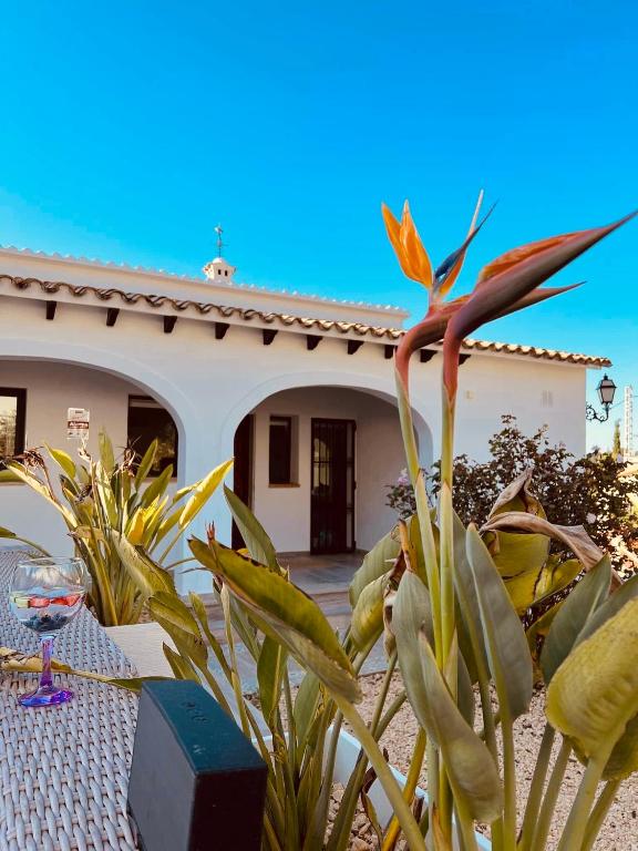 Magic Dream Seaview Villa Denia with 2 Pools, BBQ, Airco ...