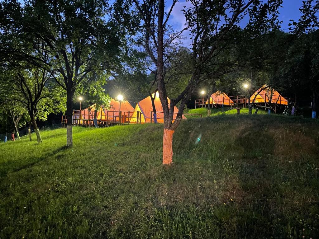 DUO Glamping Corbsori - Housity