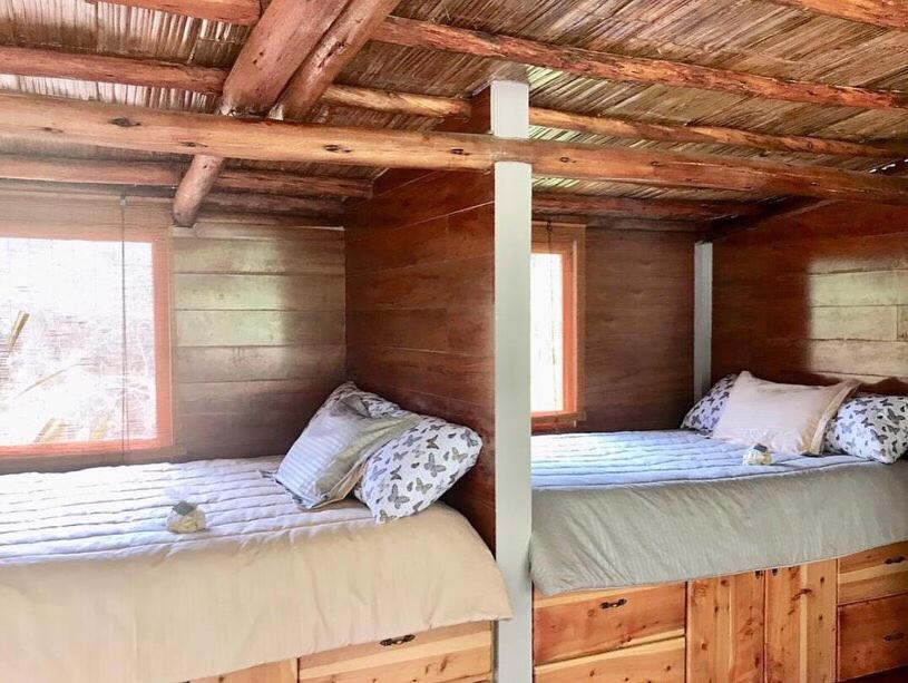 2 camas en una cabaña de madera con ventana en Acogedora cabaña en el bosque, Via La Calera en La Calera