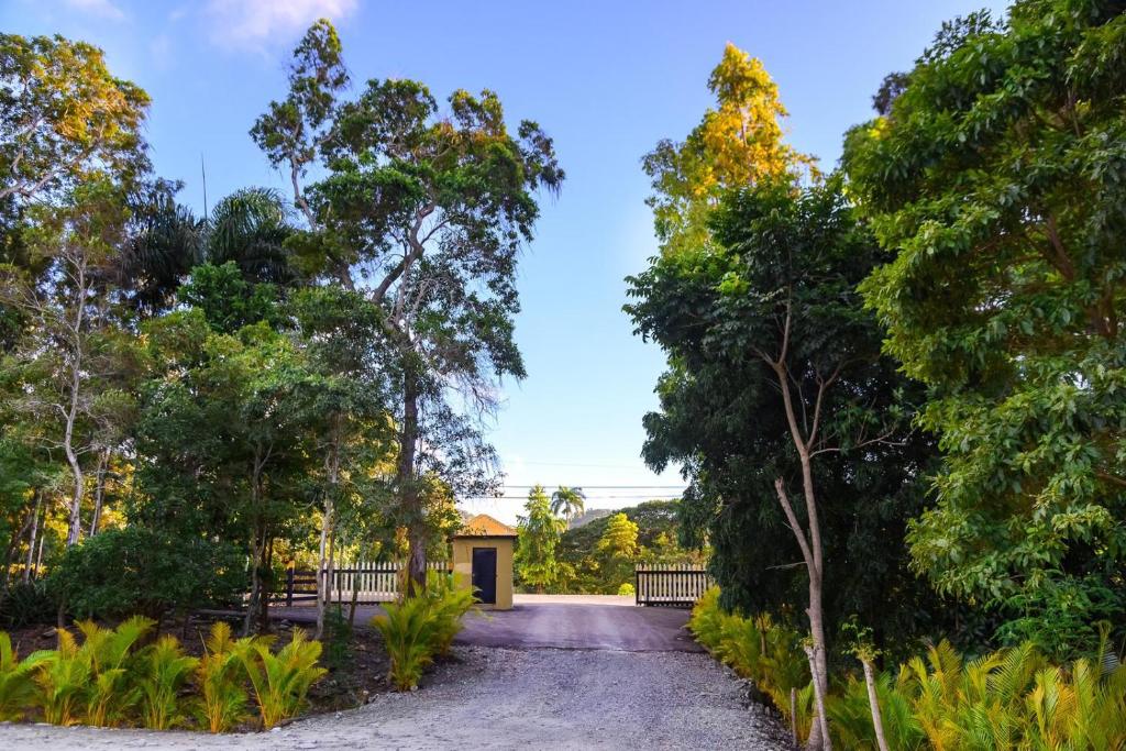 Zahrada ubytování Hacienda La Huerta Puerto Plata, 1 BDR