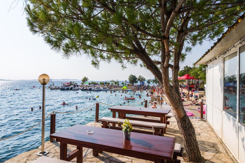 a picnic table under a tree next to a body of water at Apartments with a parking space Sveti Petar, Biograd - 6169 in Sveti Petar