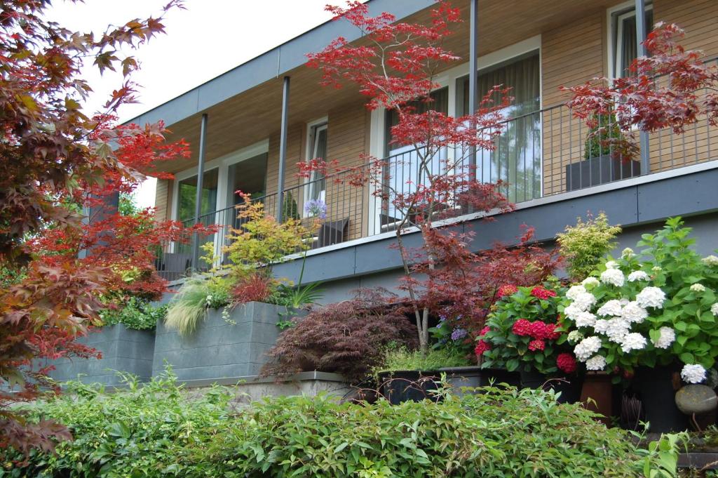 Zahrada ubytování Hotel Der Löwen