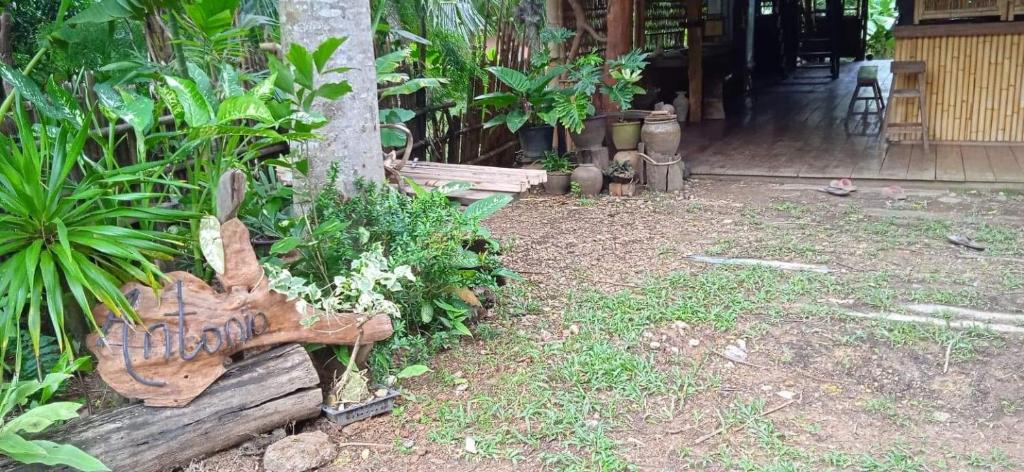 Antonio's Ko Yao Noi - 14