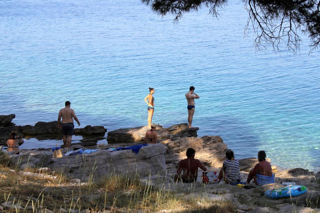 a group of people standing on rocks in the water at Apartments with a parking space Bozava, Dugi otok - 8124 in Božava