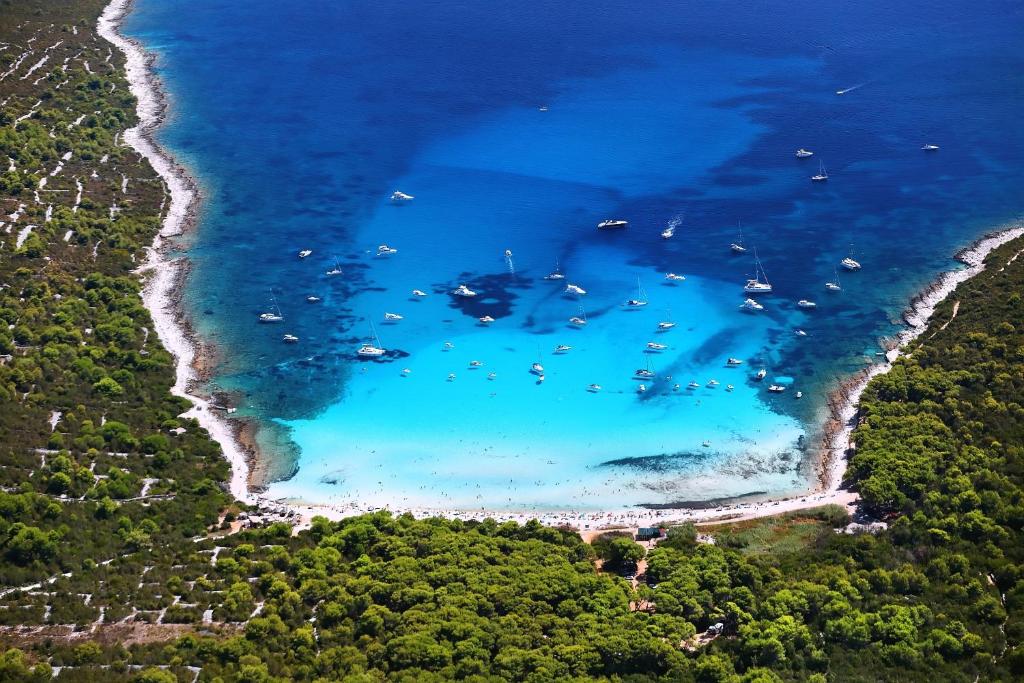 Fotografia z galérie ubytovania Holiday house with a parking space Veli Rat, Dugi otok - 8096 v destinácii Veli Rat