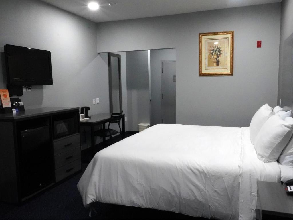 Postel nebo postele na pokoji v ubytování Americas Best Value Inn and Suites Bush International Airport