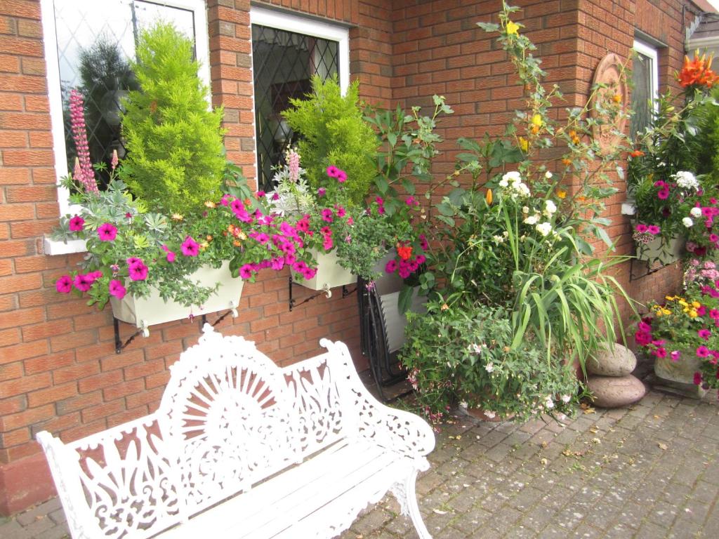 Zahrada ubytování Killyon Guest House