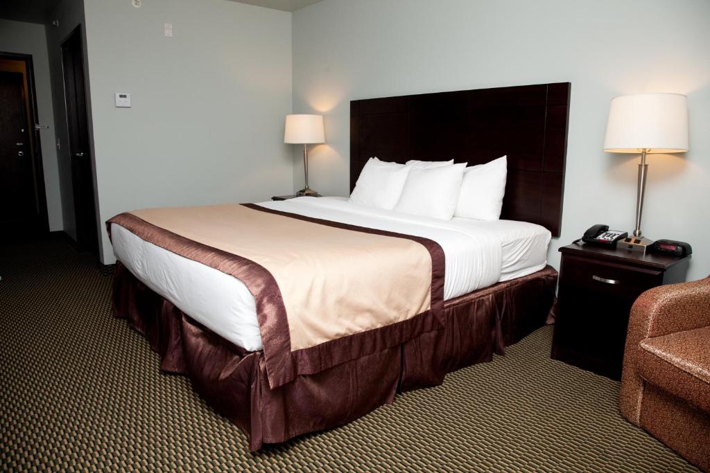 Baymont by Wyndham Rapid City - Habitación Con Cama Extragrande - No Fumadores