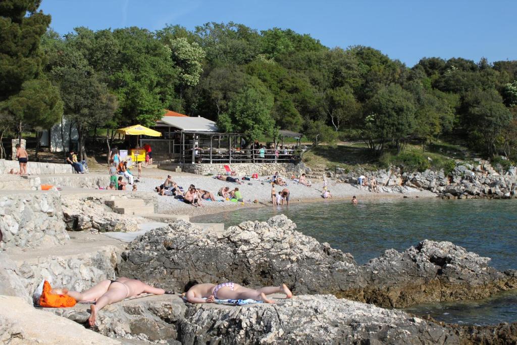 Príroda v okolí dovolenkového domu