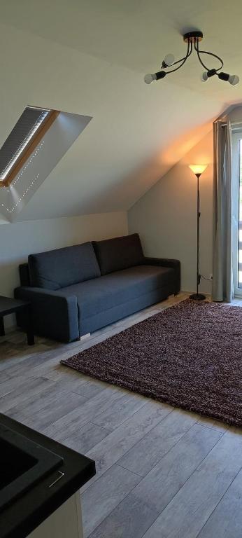 Apartamenty Wilga z całorocznym jacuzzi i letnim basenem - Two-Bedroom Apartment