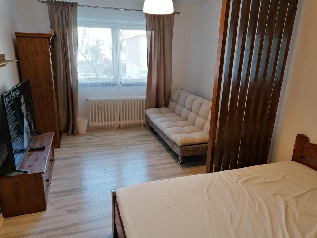 a bedroom with a bed and a couch and a television at Anna's in Sibiu