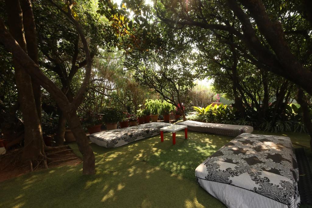 Zahrada ubytování Bella Vista Mahabaleshwar