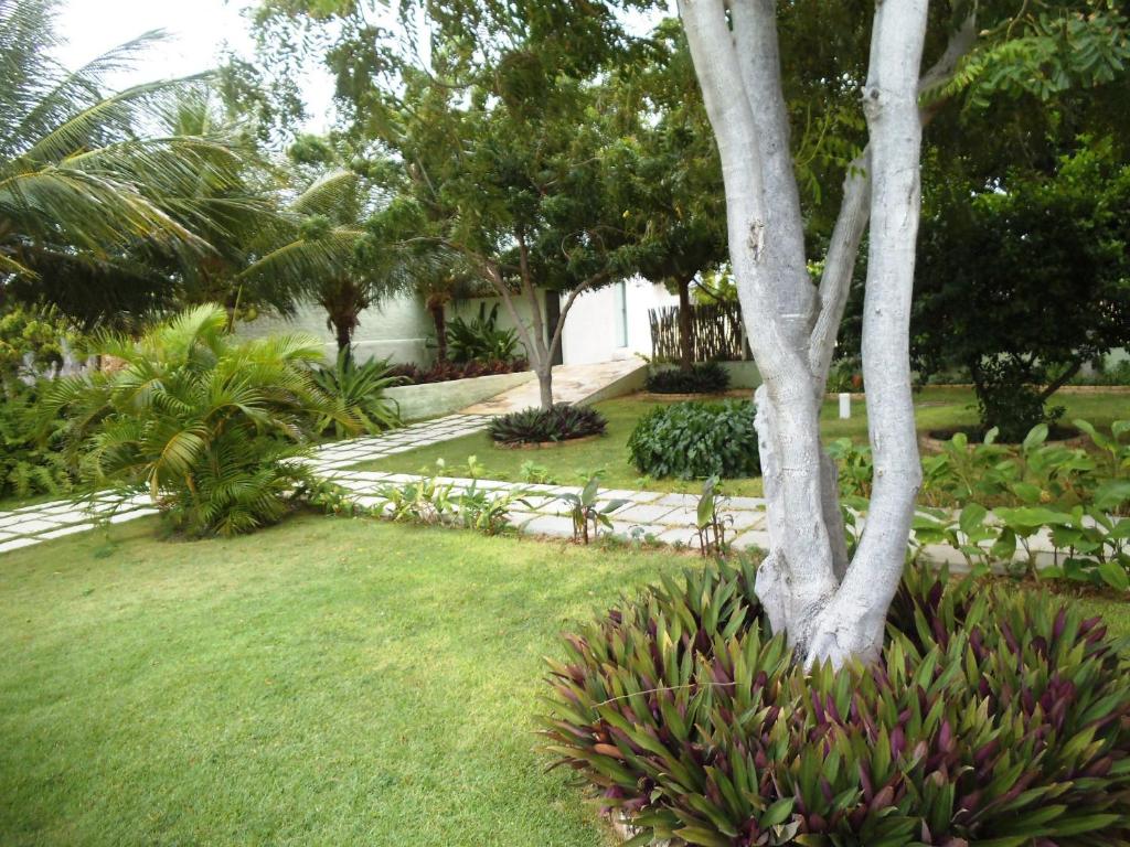  Pousada Iguana
