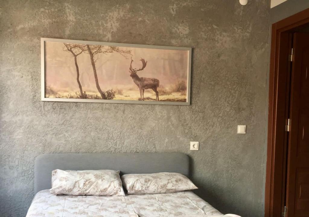 Erkal Pension - Studio