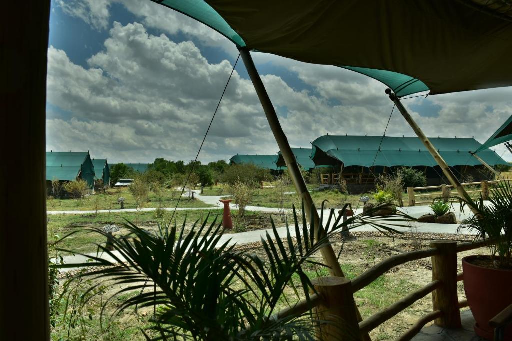 Fotografie z fotogalerie ubytování Mara Maisha Camp v destinaci Talek