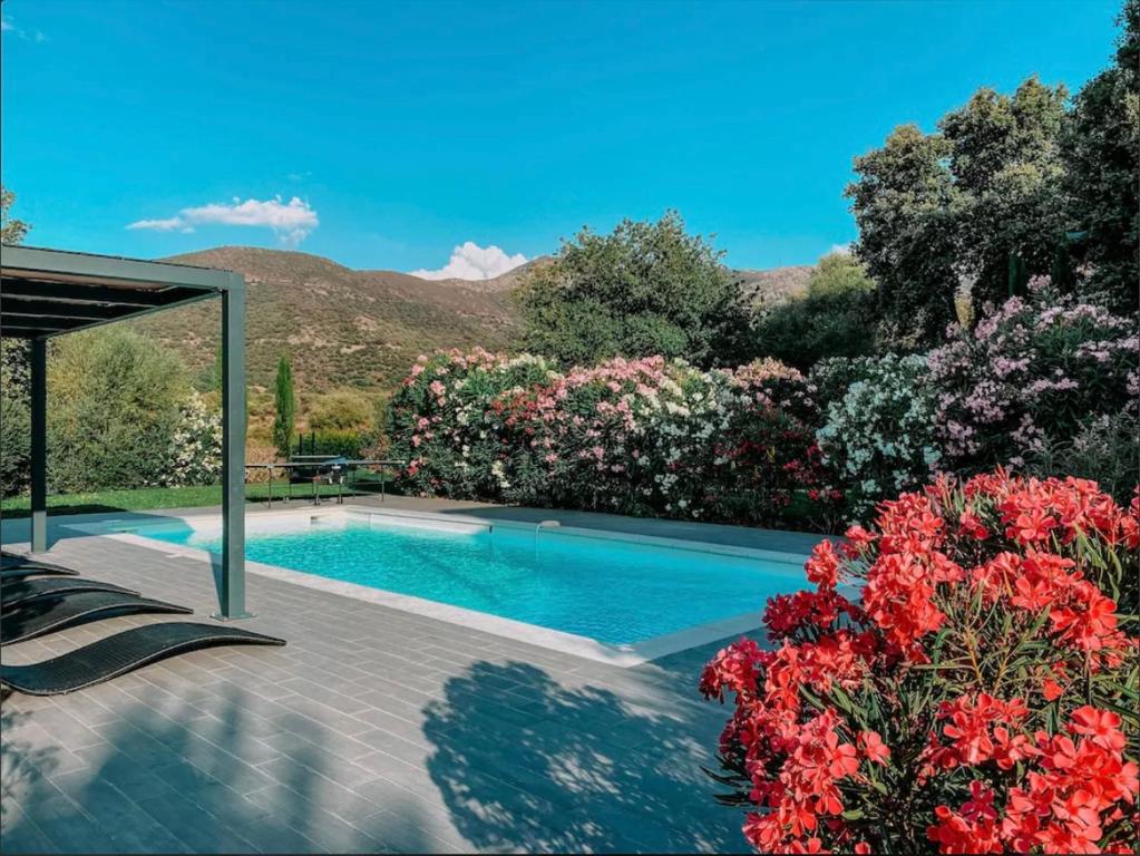 una piscina en un jardín con flores en CASA GIABICONI - Villa 6pers. piscine & spa en Occhiatana