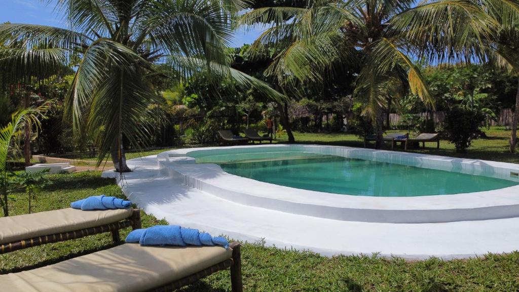 a swimming pool in a yard with palm trees at Botanica Eco Lodge in Michamvi