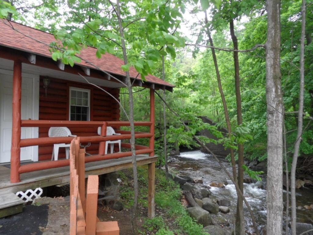 una cabaña de madera en el bosque con un río en Seven Dwarfs Cabin - On The Brook Cabins, en Lake George