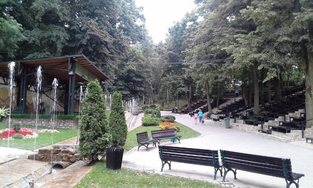 Zahrada ubytování Studio City day