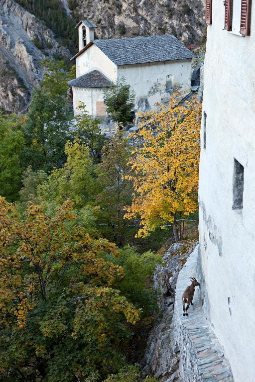 Příroda nedaleko hotelu