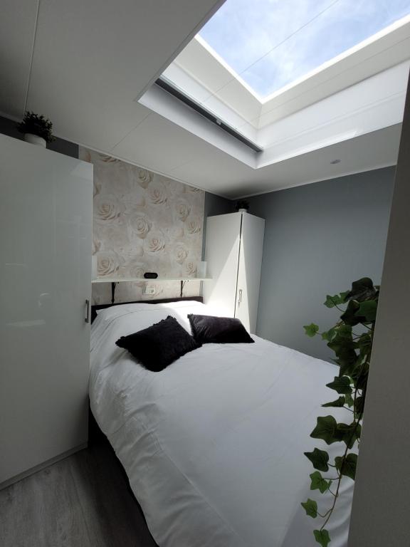 Photo from B&B Mooi Betuwe in Tiel, Gelderland, Netherlands