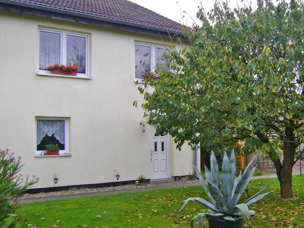 ein weißes Haus mit einer Pflanze davor in der Unterkunft Ferienhaus Mirada in Blankenhagen