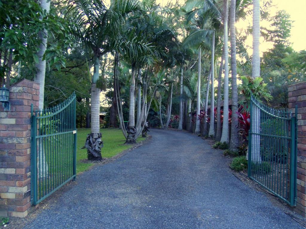 a gate to a driveway with palm trees at Emerald Tropical Palms B & B in Emerald Beach