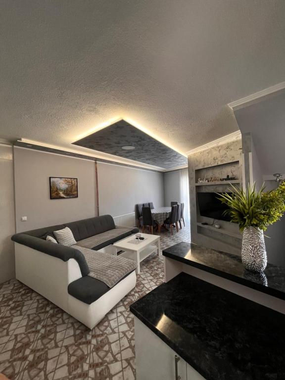 a living room with a couch and a fireplace at Apartman Bojanić in Trebinje